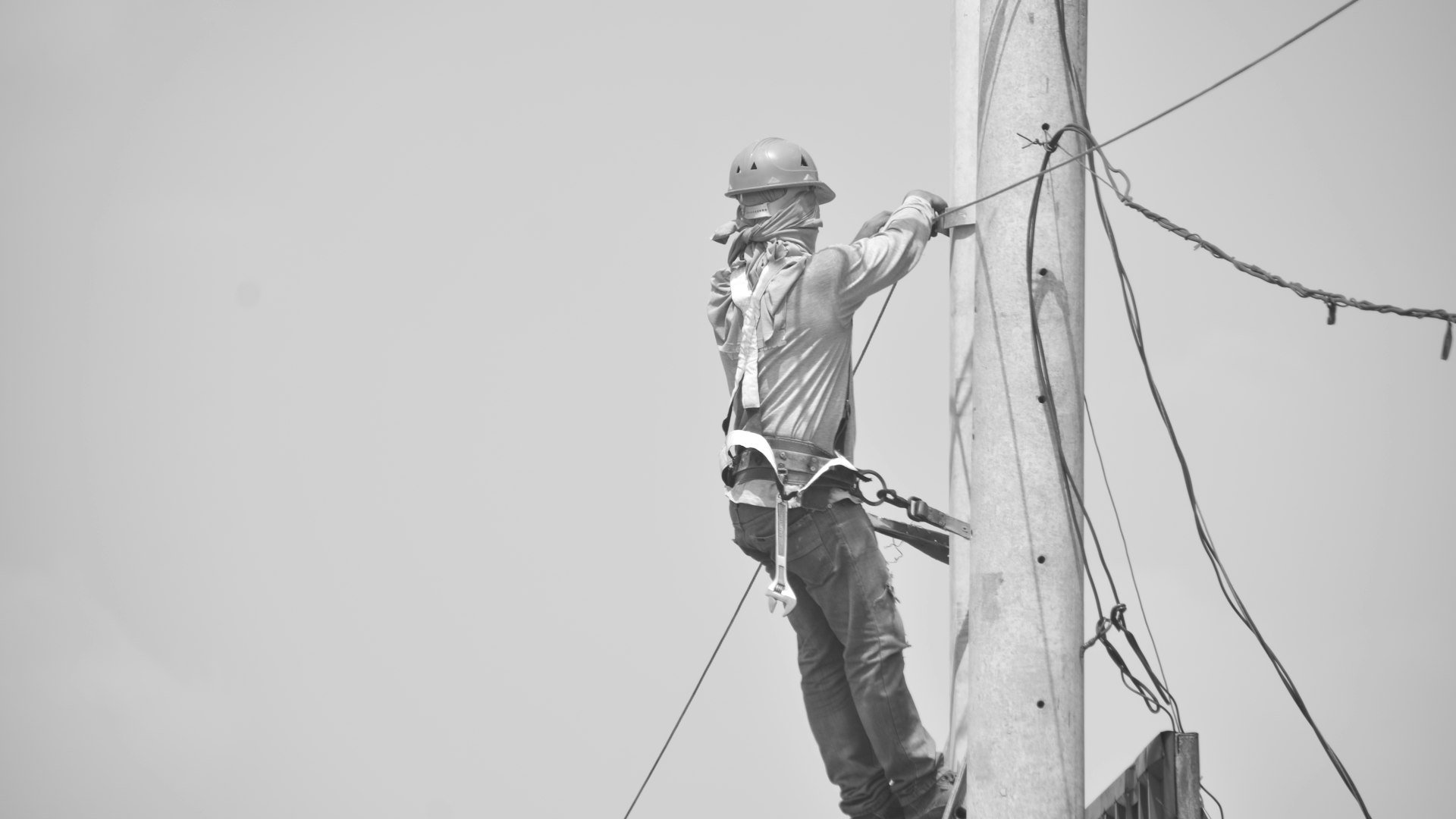 Defect Notice Rectification — Sedgman Electrics