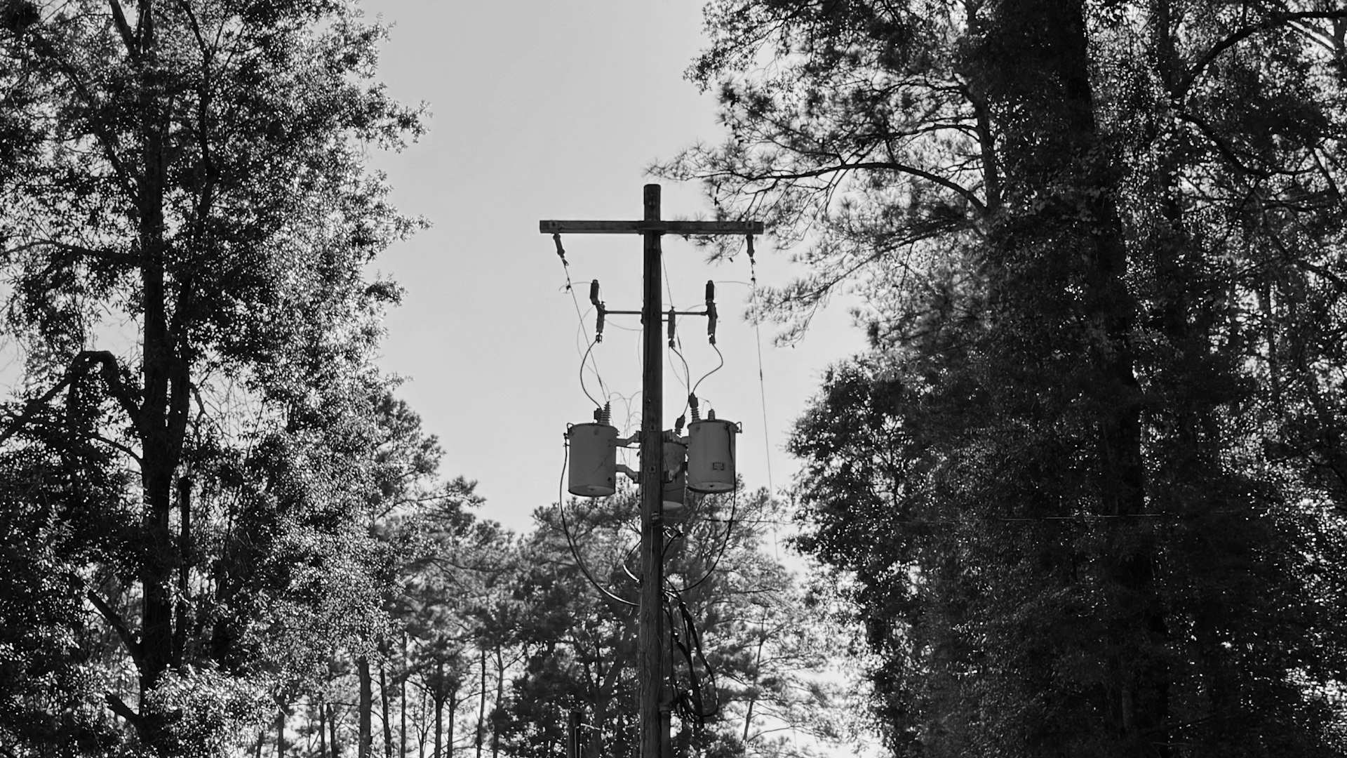 Private Power Pole Supply & Installation — Sedgman Electrics