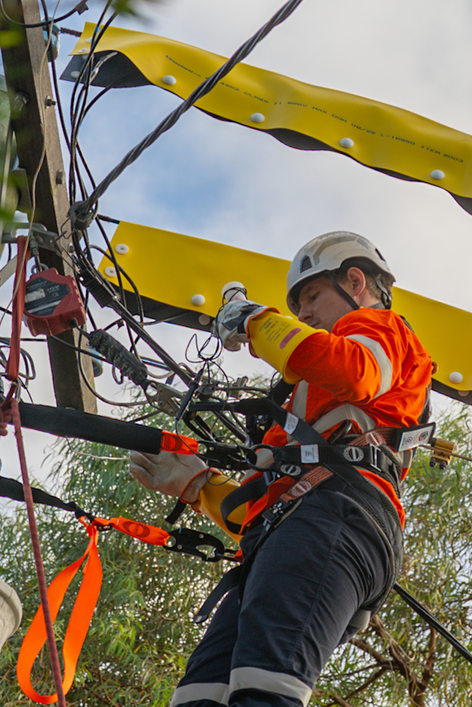 Shutdown Work & Fault Finding — Sedgman Electrics Sydney