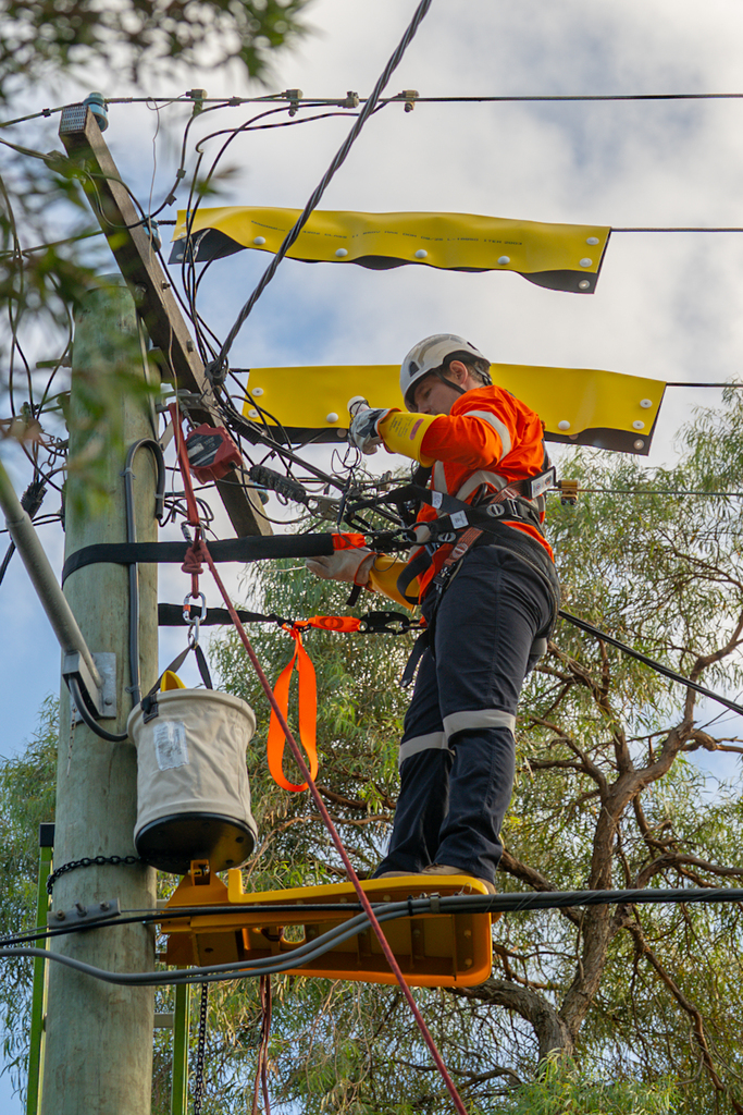 Level 2 Electrical Service